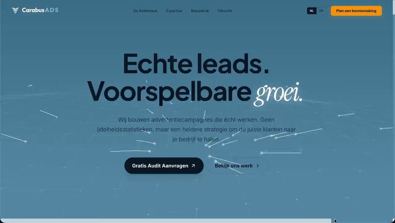 Websiteproject Carabus Ads