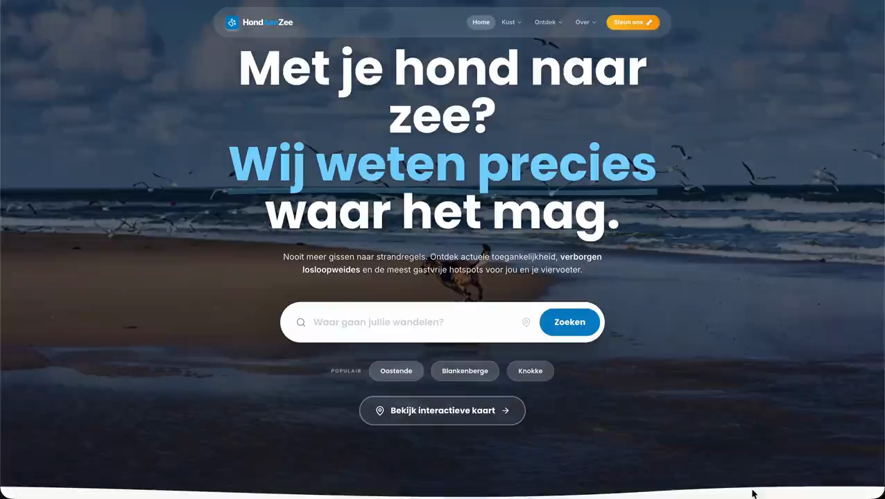Websiteproject Hond aan Zee